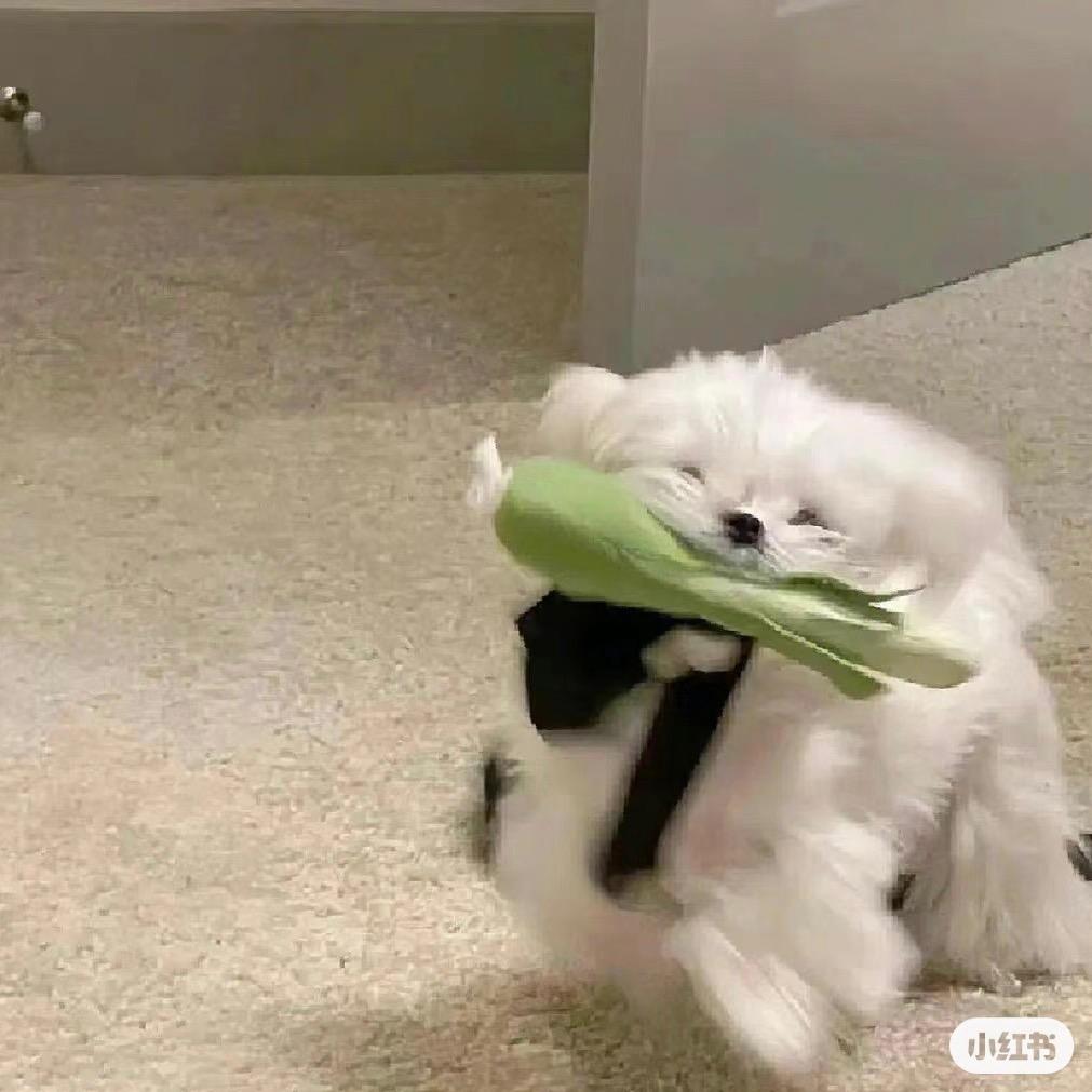 碗碗🥣
