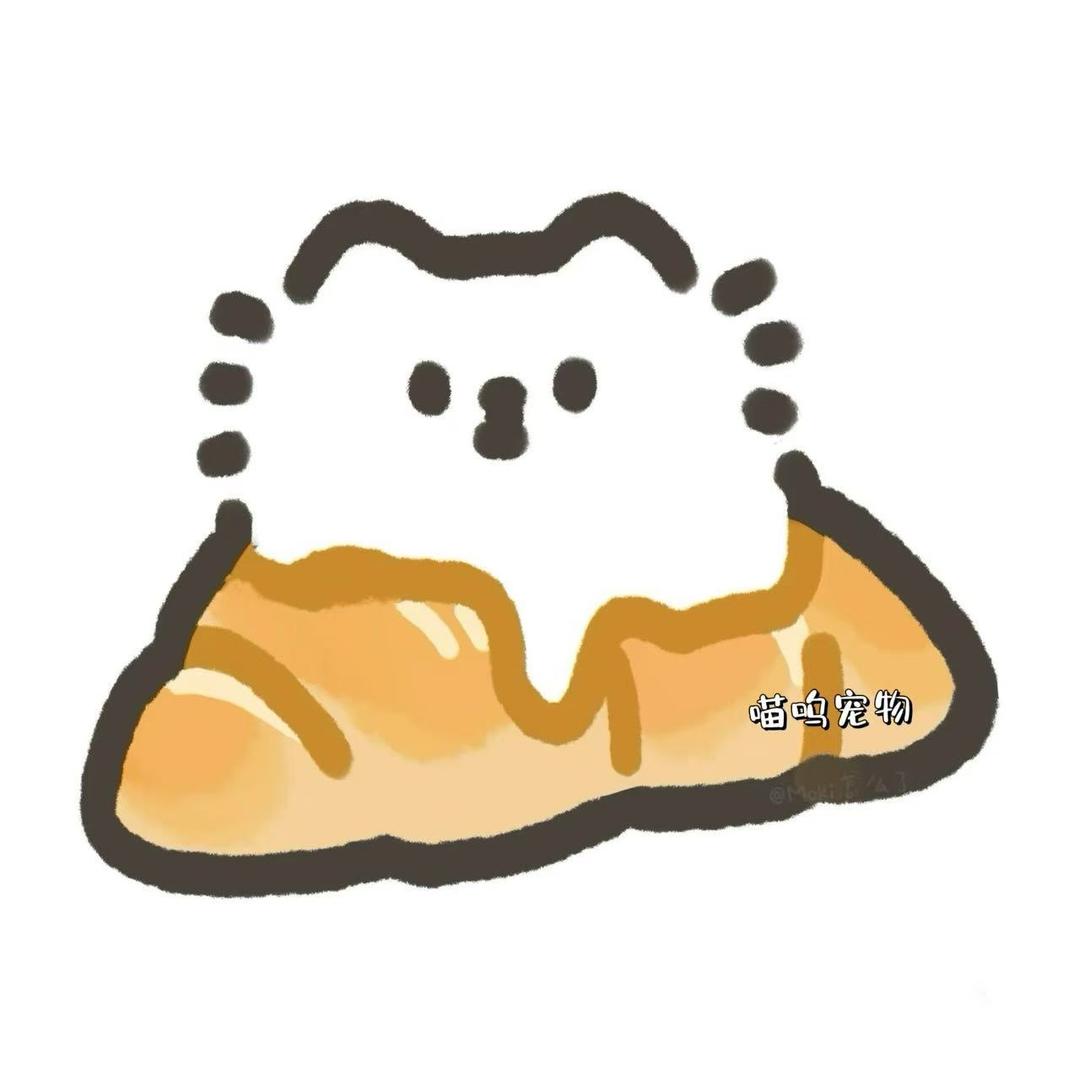 喵呜宠物pet