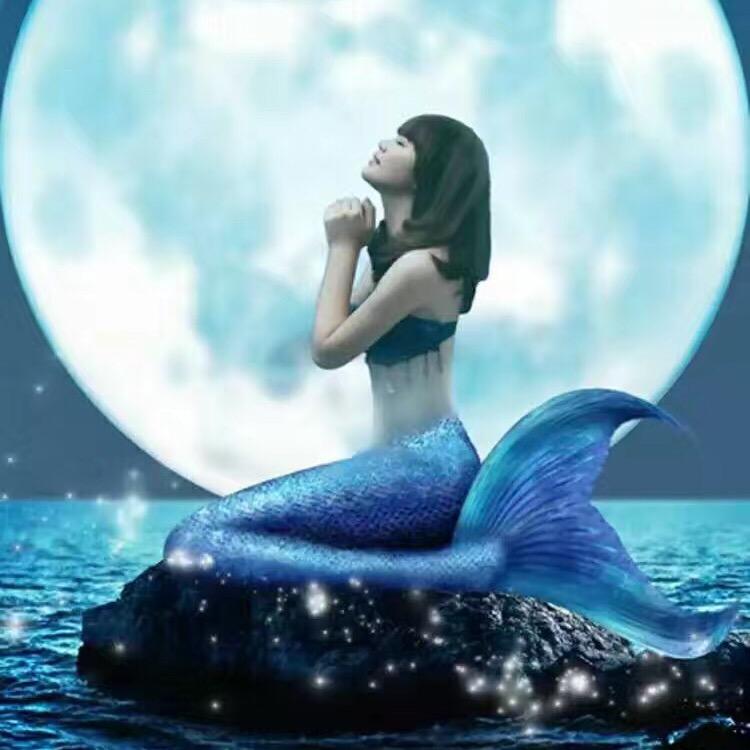 我是大长腿美人儿鱼