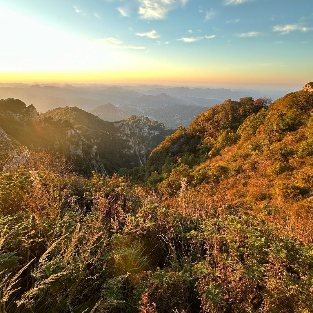 土豆不是马铃薯