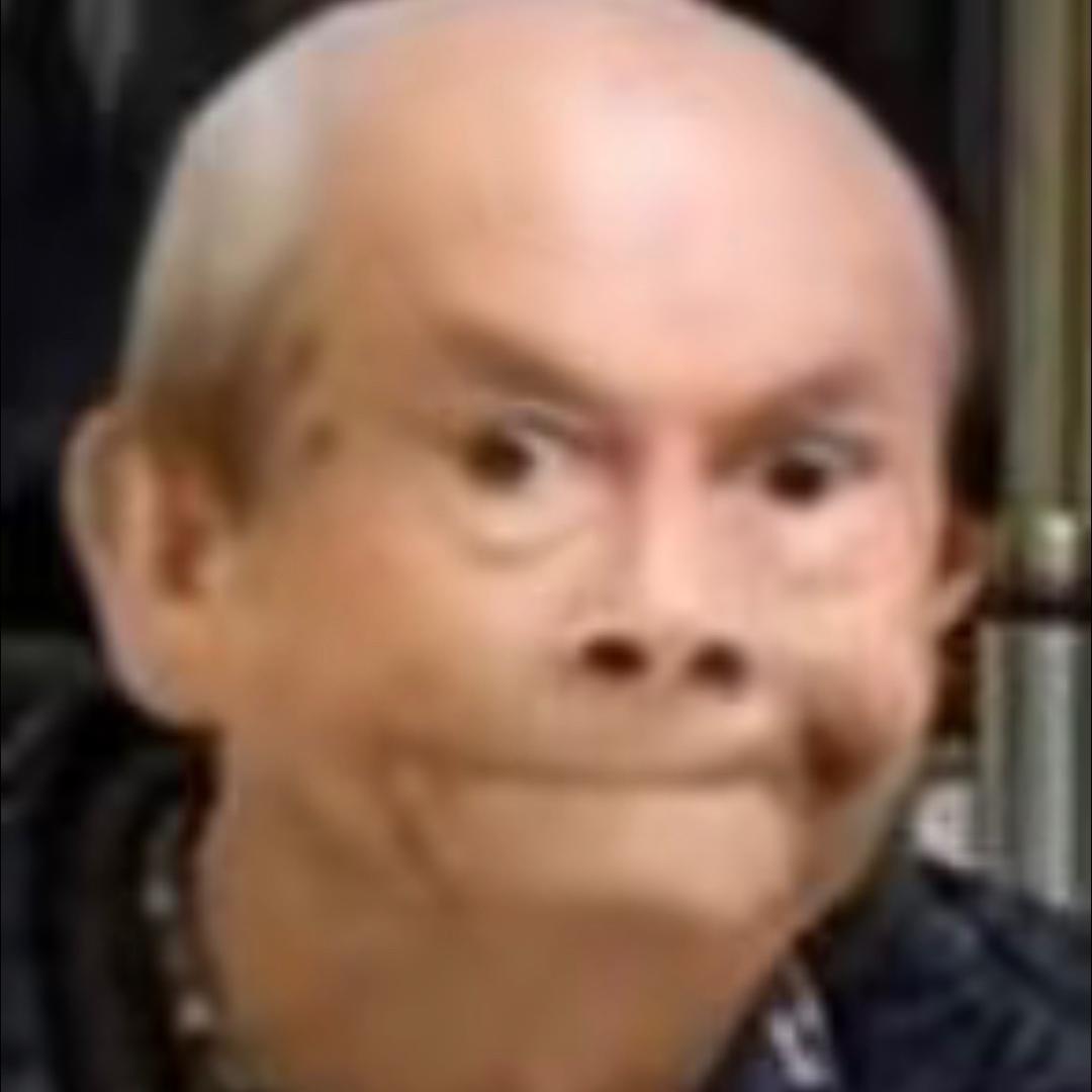 城墙倒拐加炮台