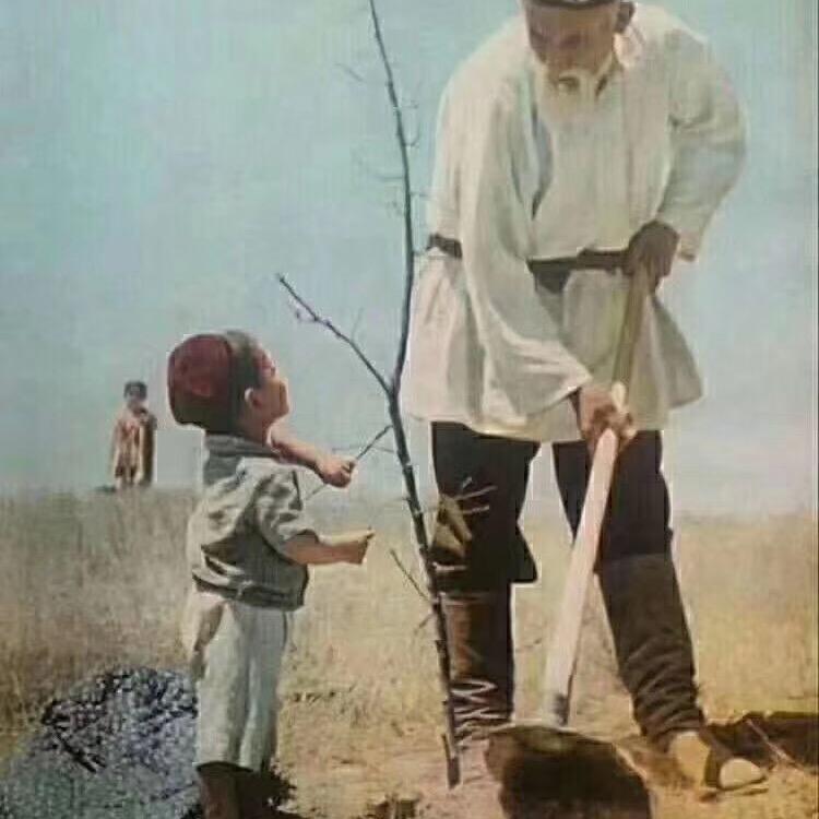 阿达西卡车亚森