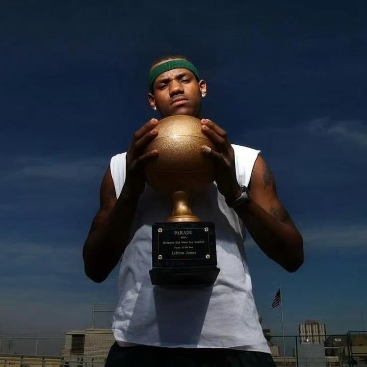 🐜蚂蚁托大象🐘