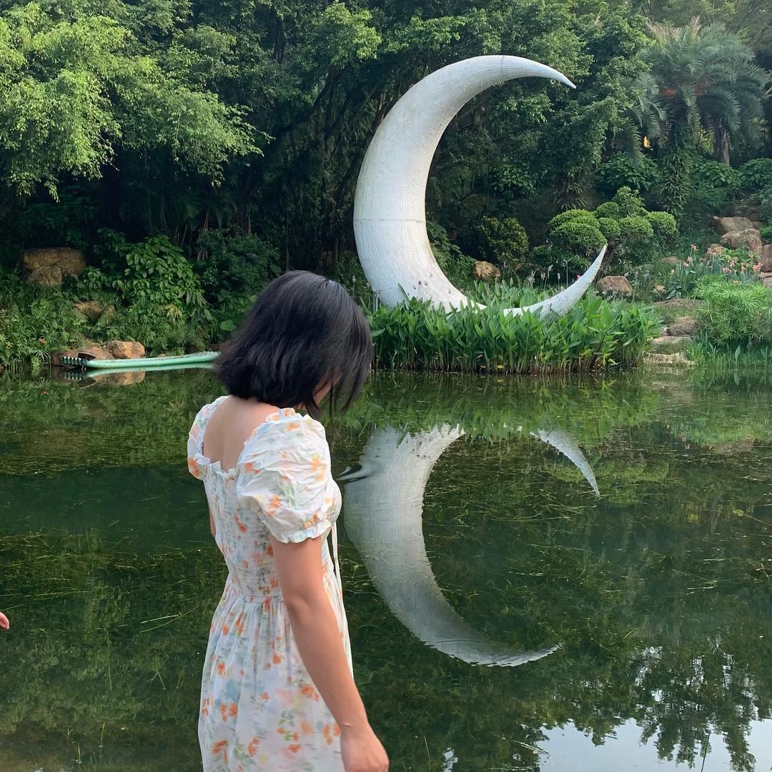 三三（减肥版）