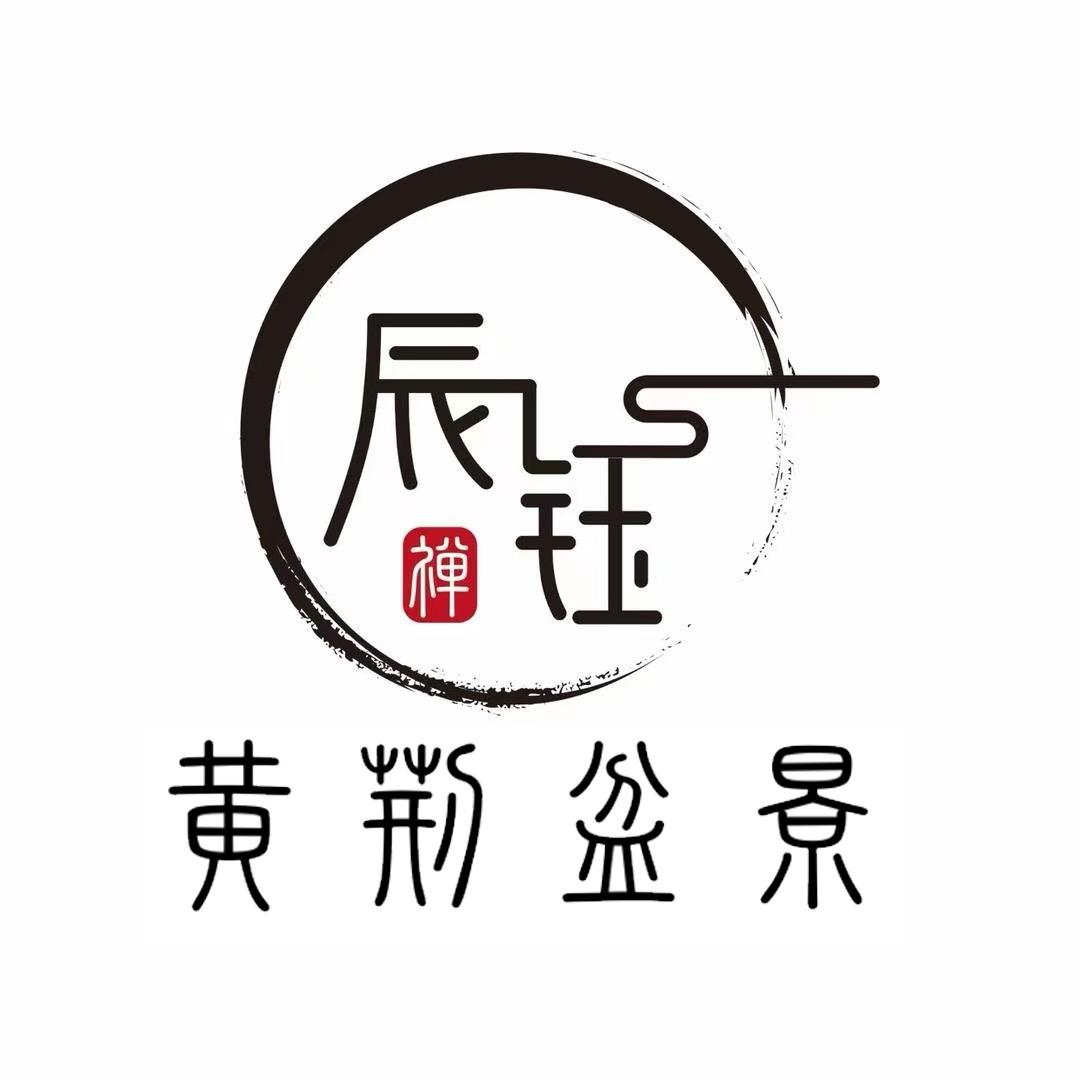 辰钰山桩［黄荆盆景］