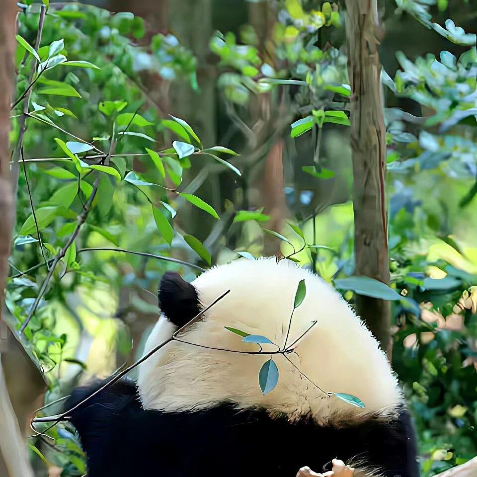 文一亿☂️