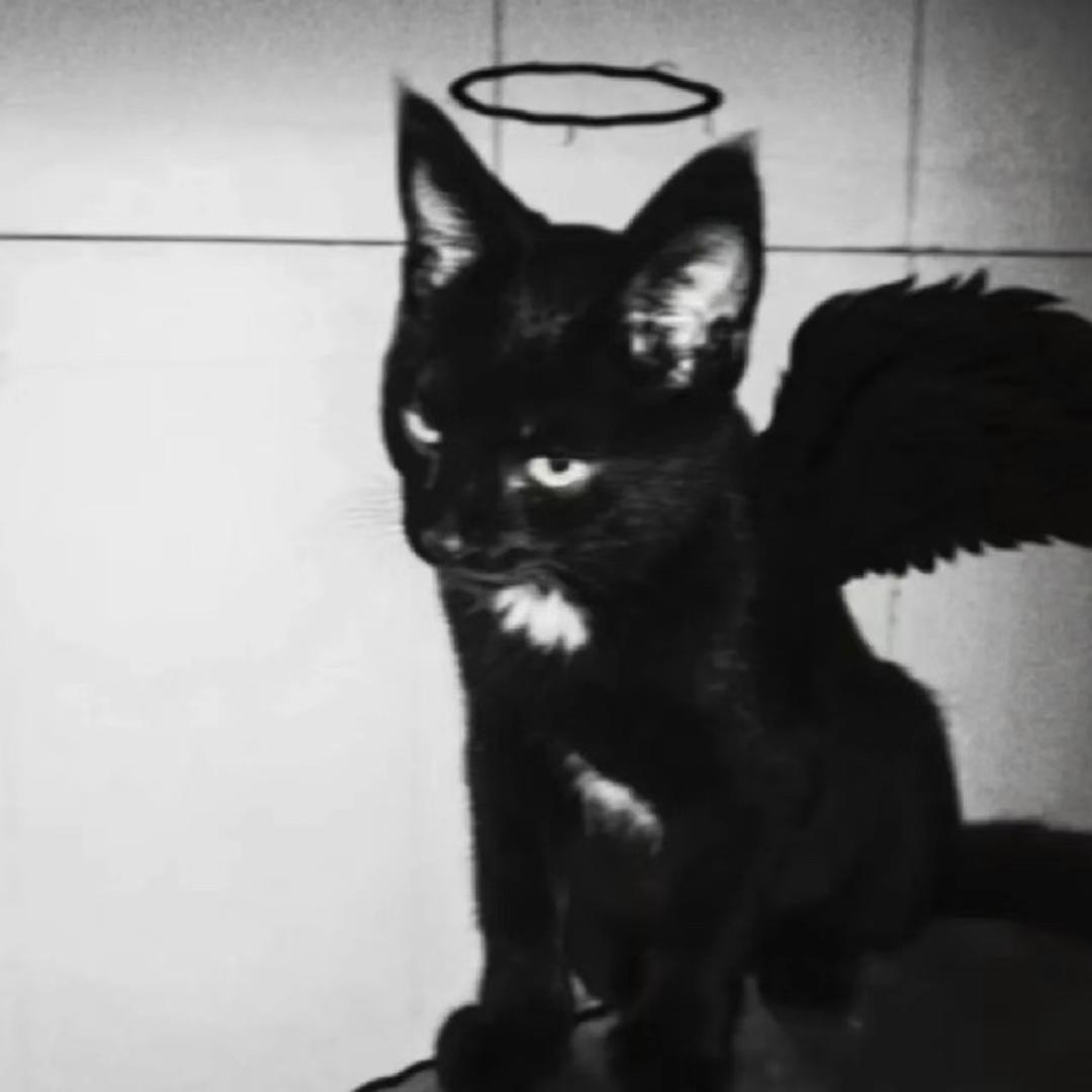 多次荣获无能丈夫荣誉男