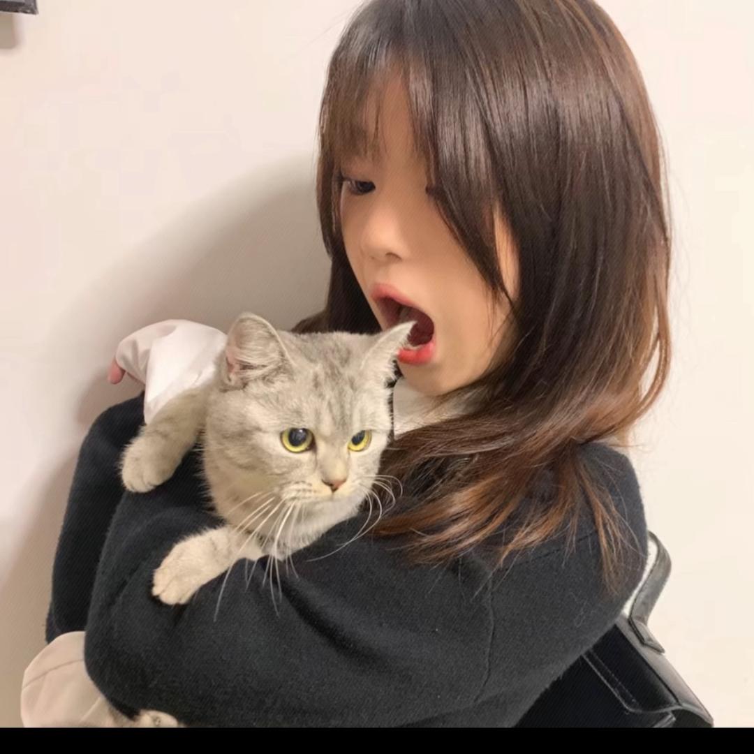 养猫者🐈
