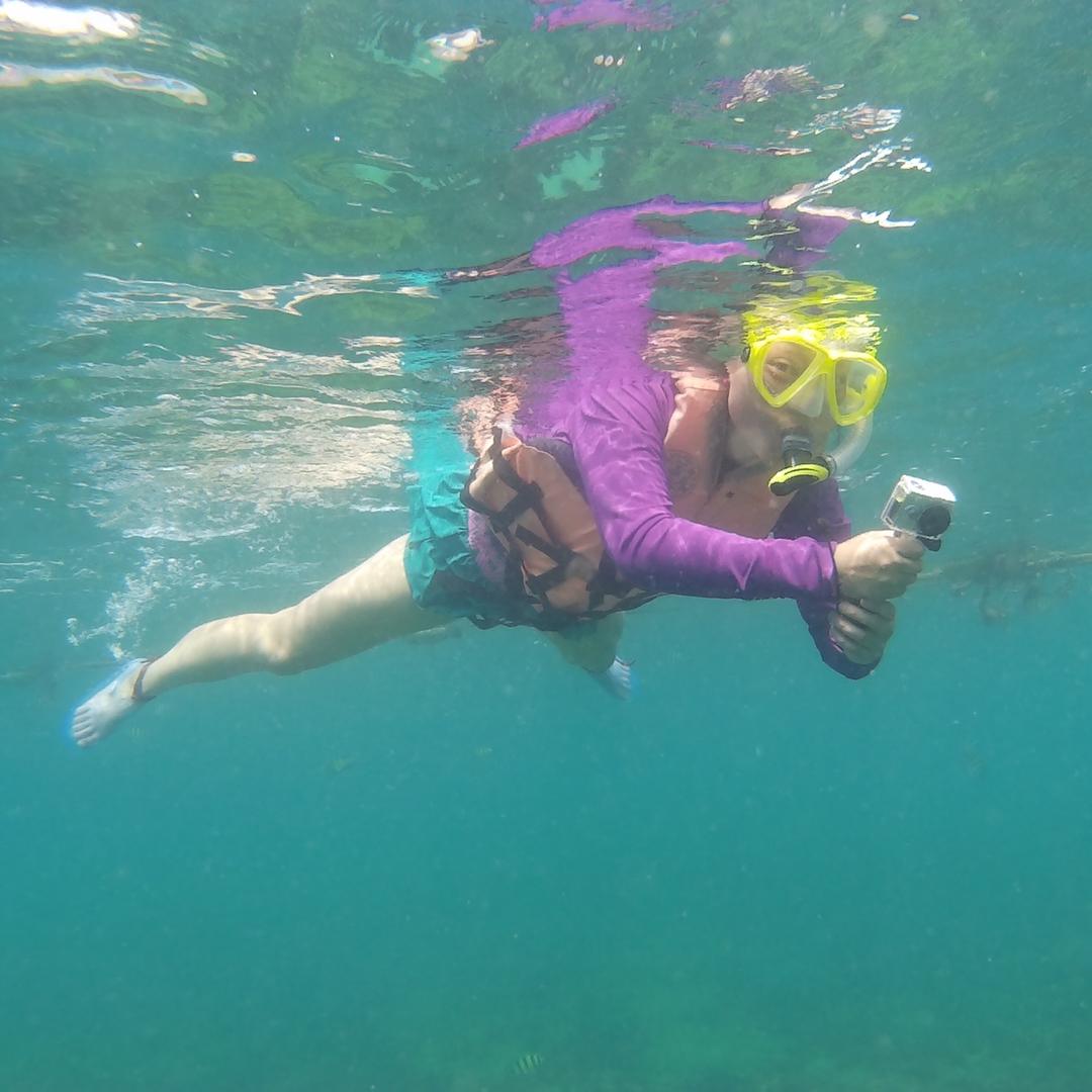 🌈😸💐心情猪贝💐😸🌈