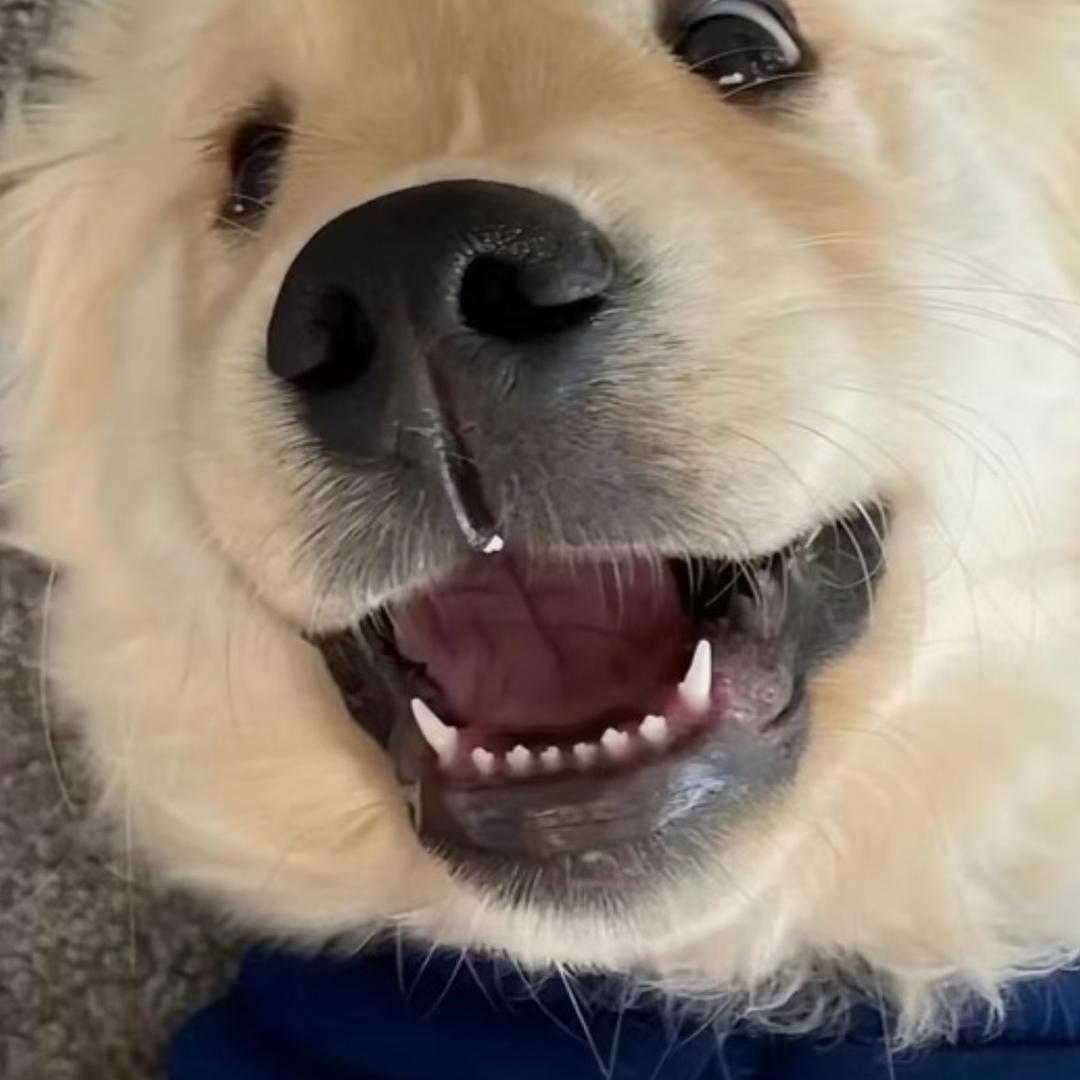 兴隆富友家电官方号