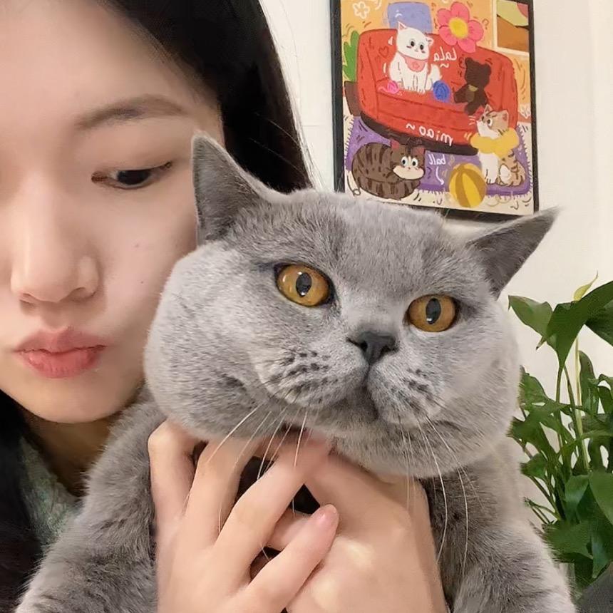 拖拉机是只猫