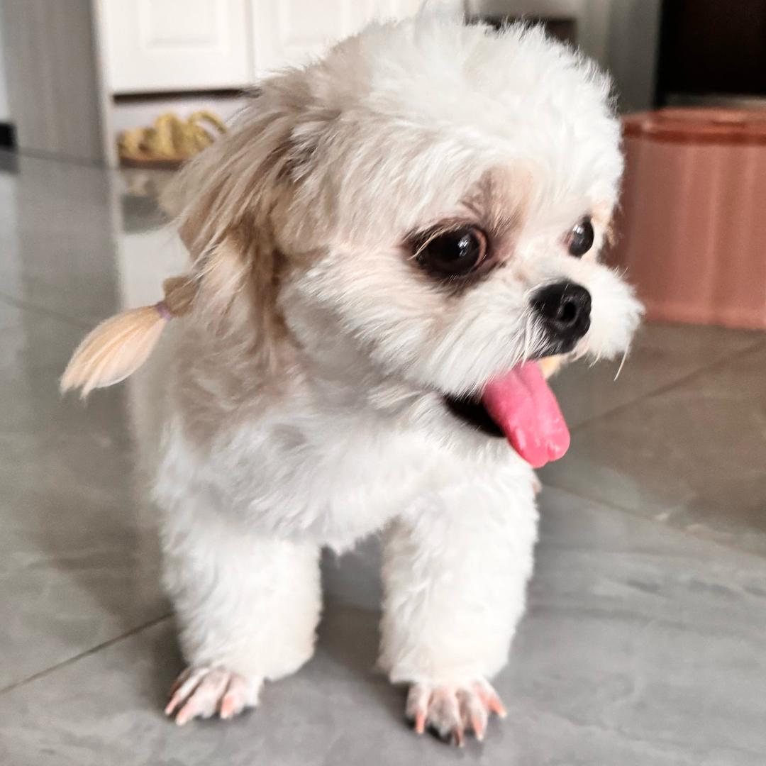 快乐的潘潘老师