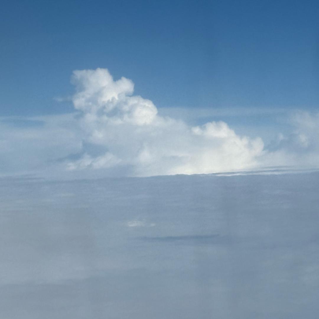 forever 游来游去❤️