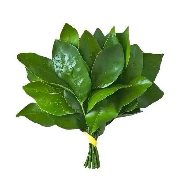 ঞ᭄悦己ꦿഒᩚ࿐