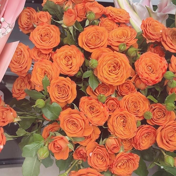 一花一世界💐