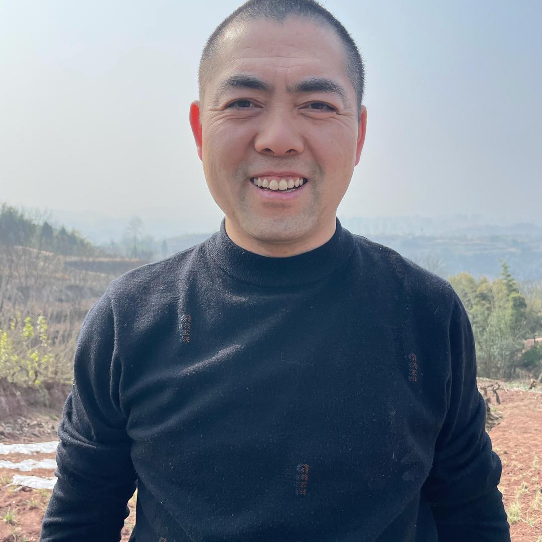 张先生（首播筹备中）