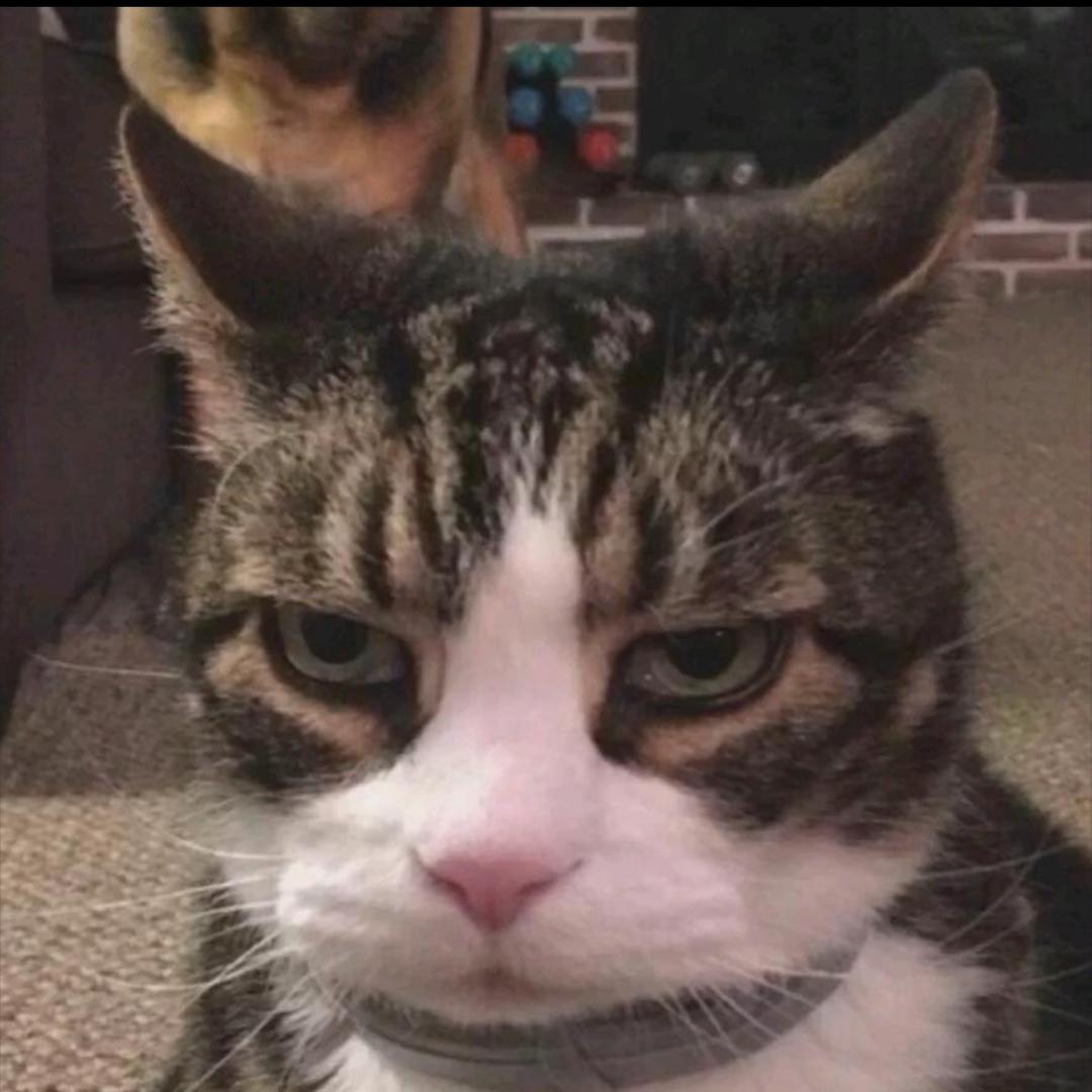 欧巴
