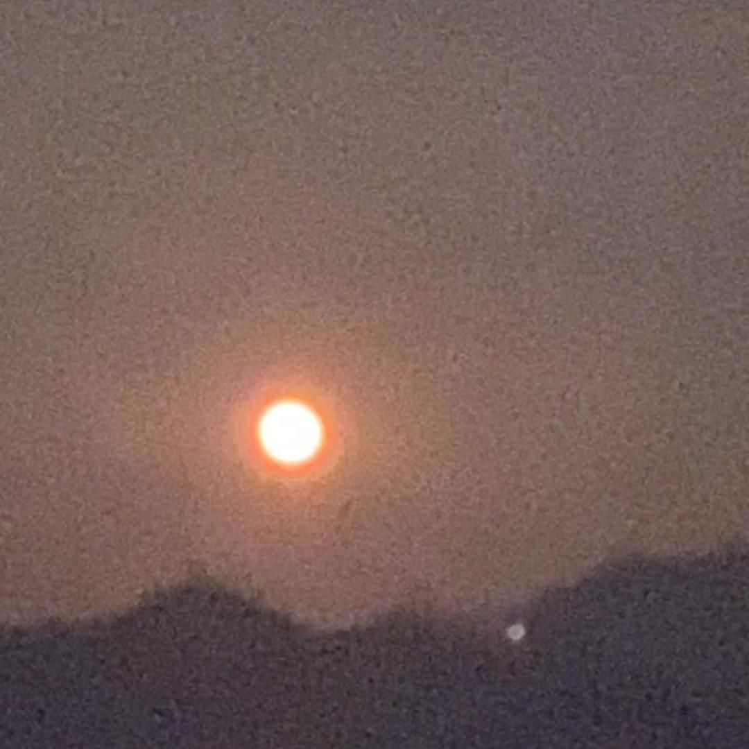 顺其自然𡿨茶＞