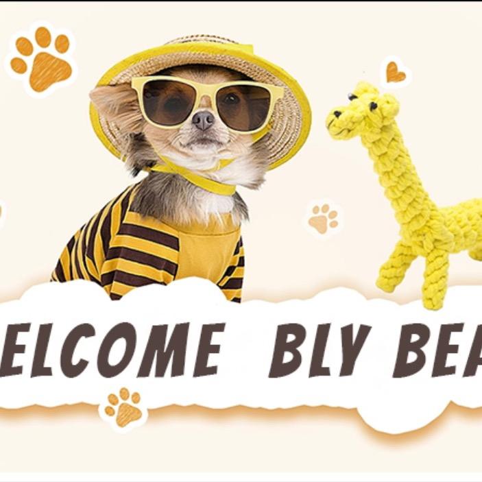 Betty汽车用品