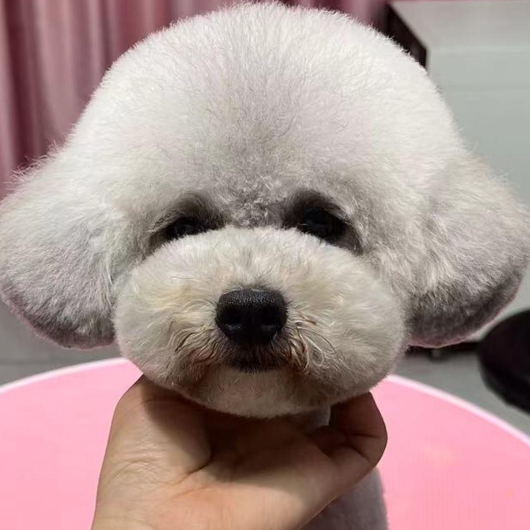 枝江罗绮窗帘