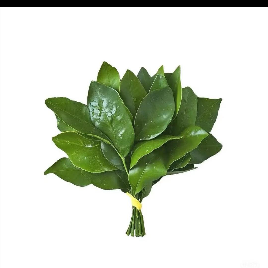 一杯🧊可乐