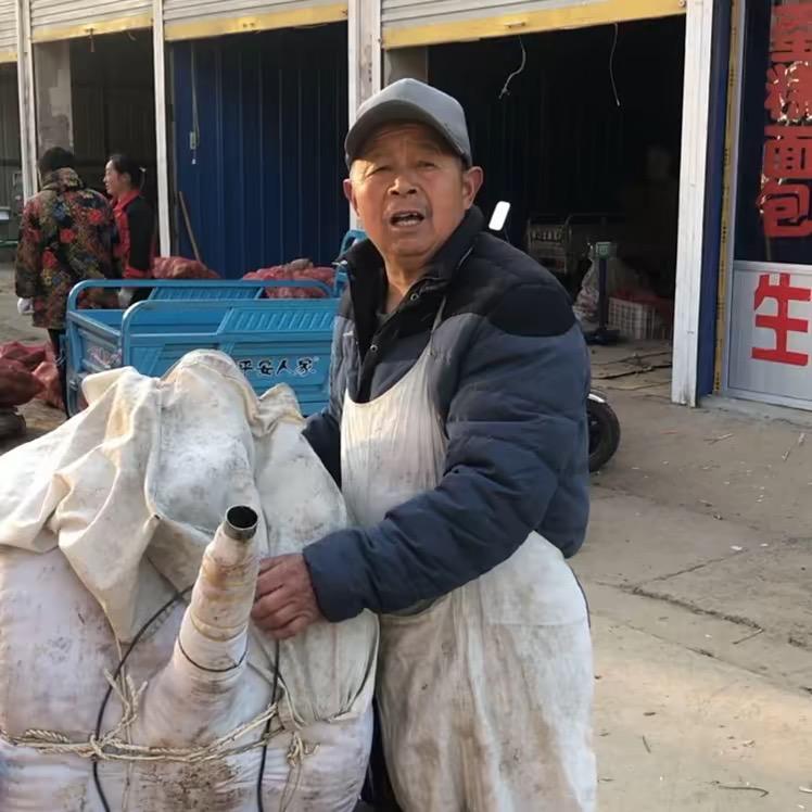 油茶大爷