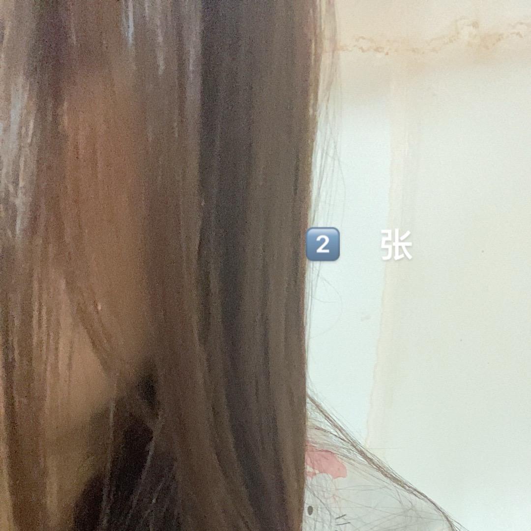 小小猫咪