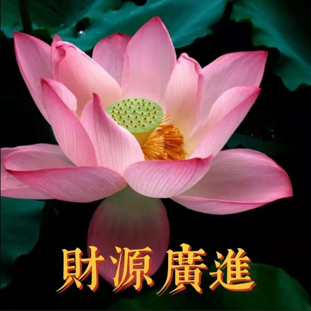 小宇宙（推文版）