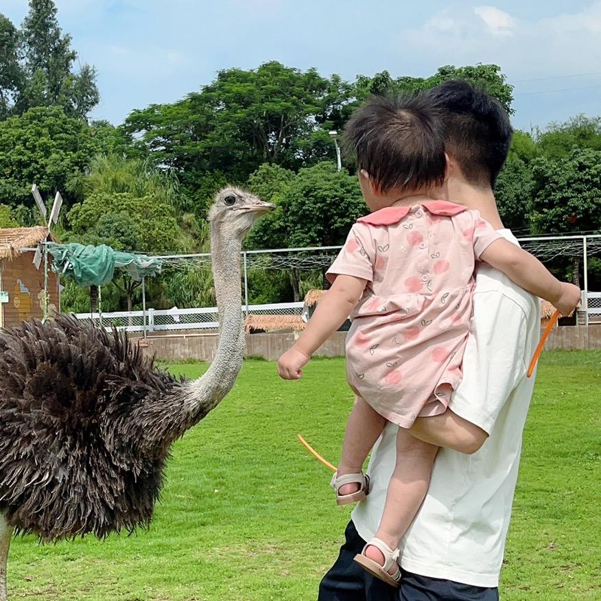 妖怪来了