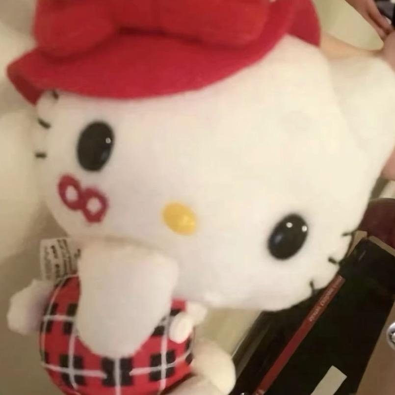 🌈凯蒂猫陷的大包子