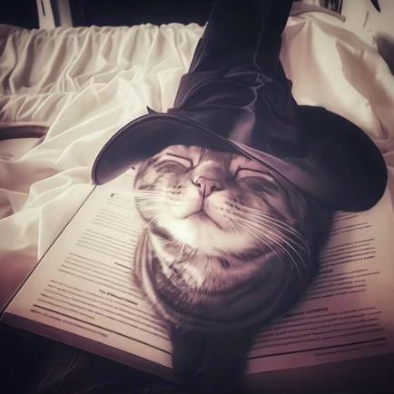 周末.