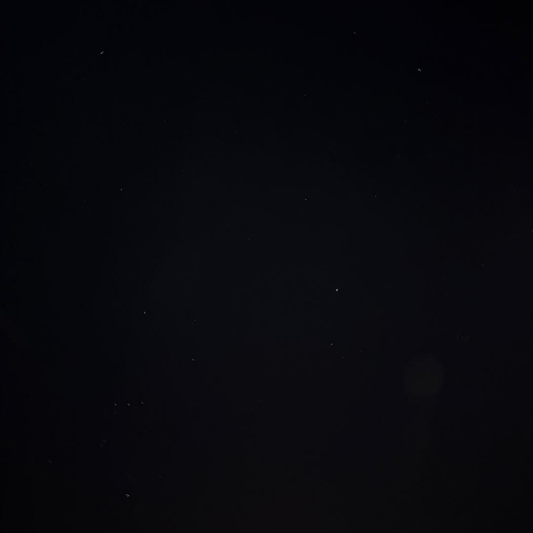 贞