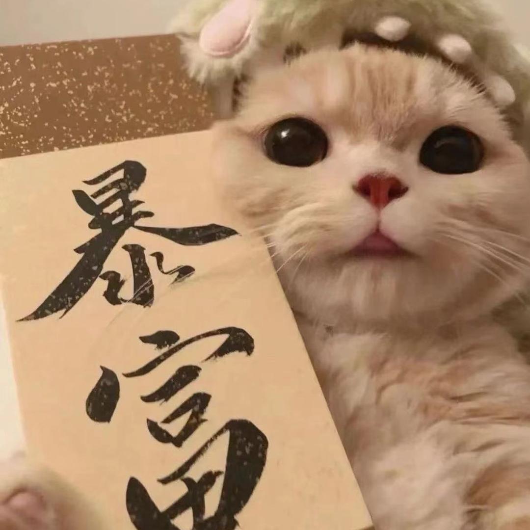 梦醒追剧