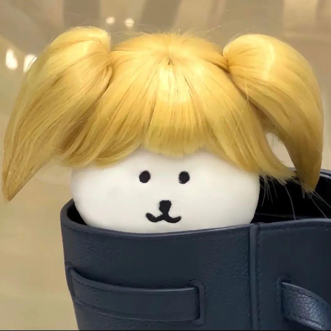 财神爷的心尖宠🫧