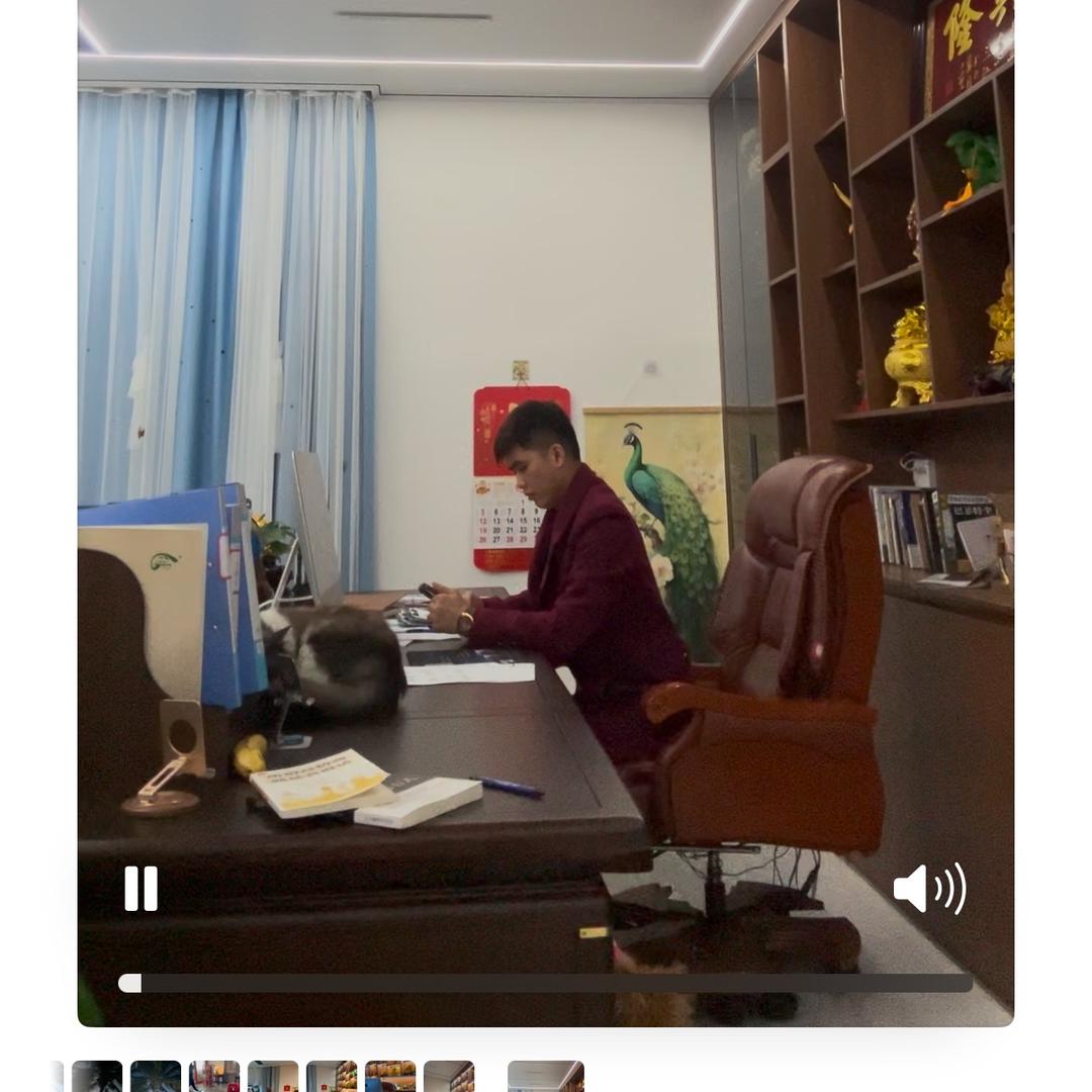 郑经理