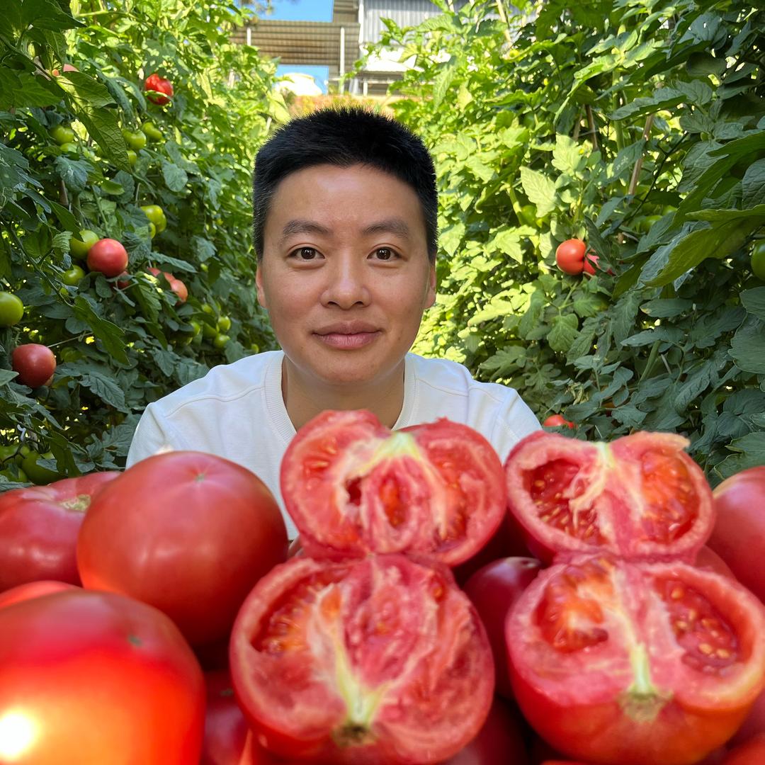 张毅在乡村