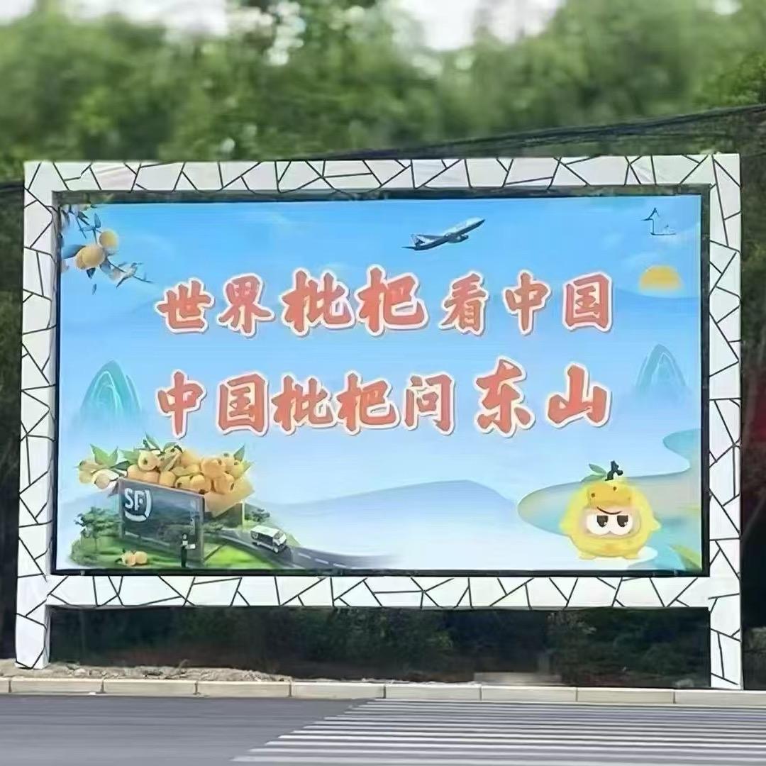 东山太湖雪.杨