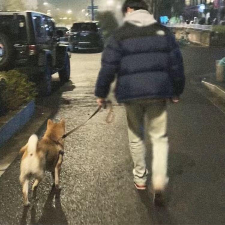 十七·