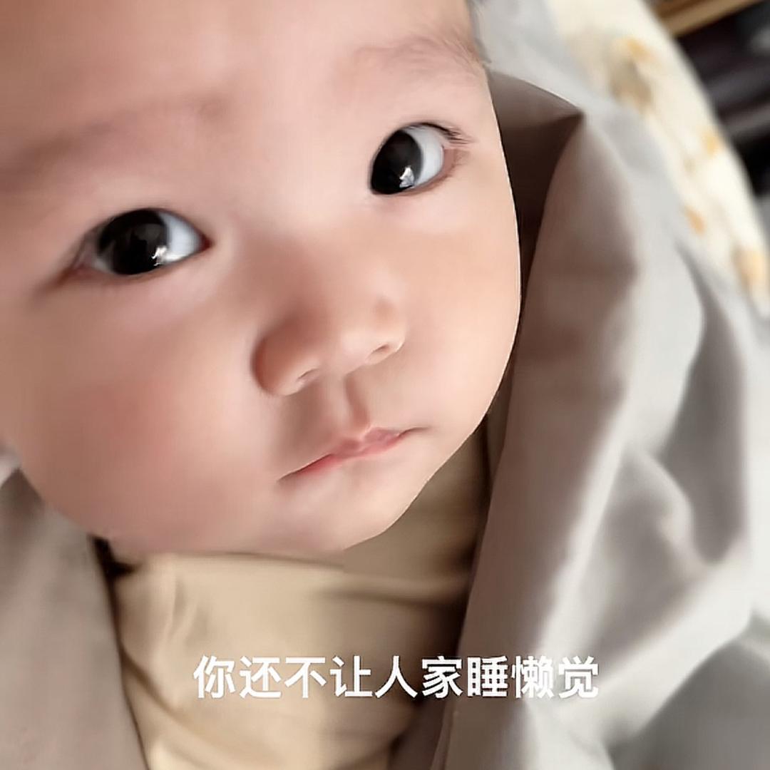 聪情
