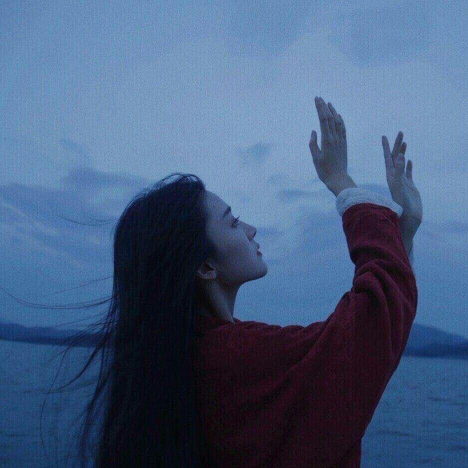 鱼鱼呀～～