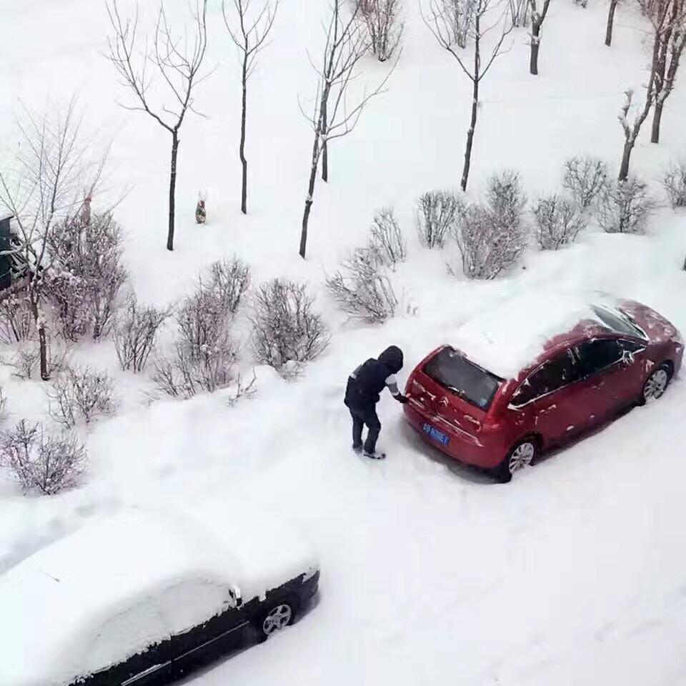 来自北方的龙🐉