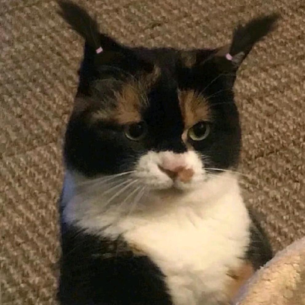 🌈🌈  　　　　　 　　　　   ༽