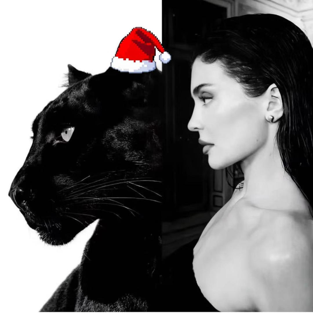 𝐁𝐎𝐥𝟖𝐃·