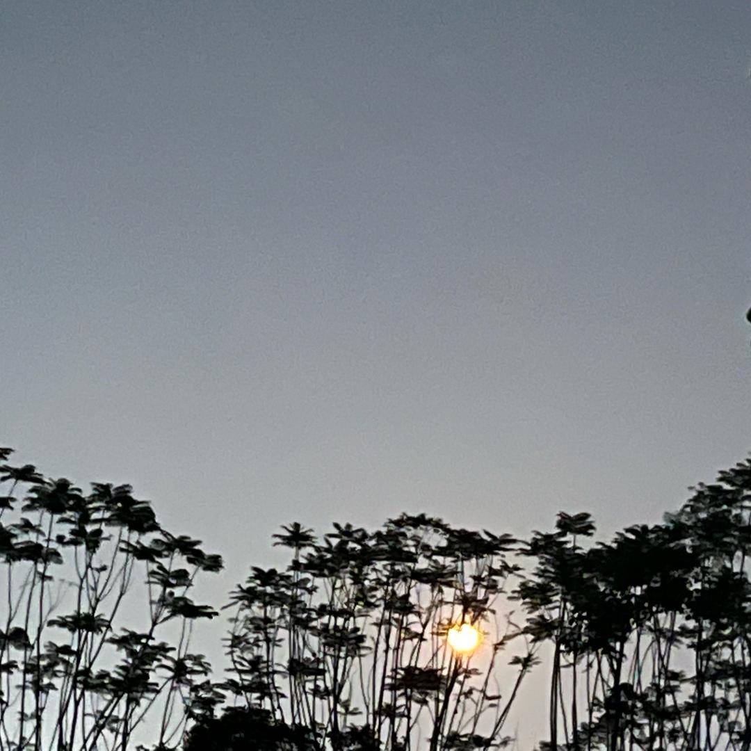 来看星期八