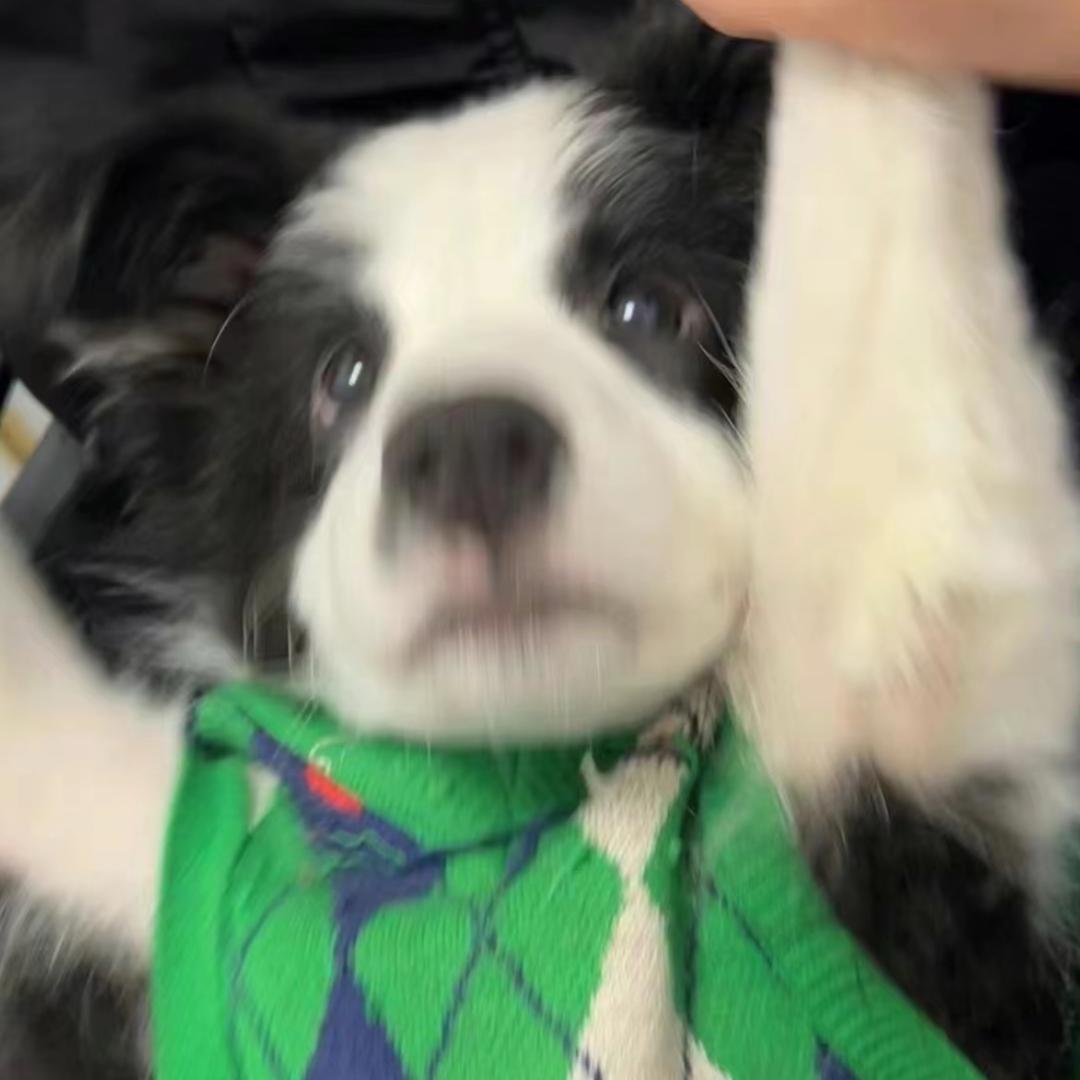 糕点店满星通关