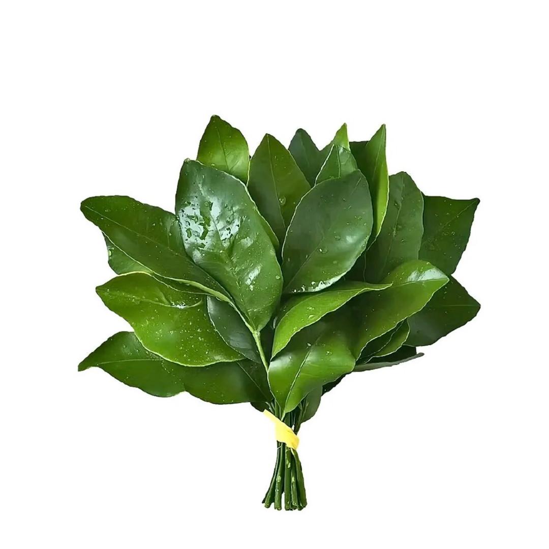 祝.