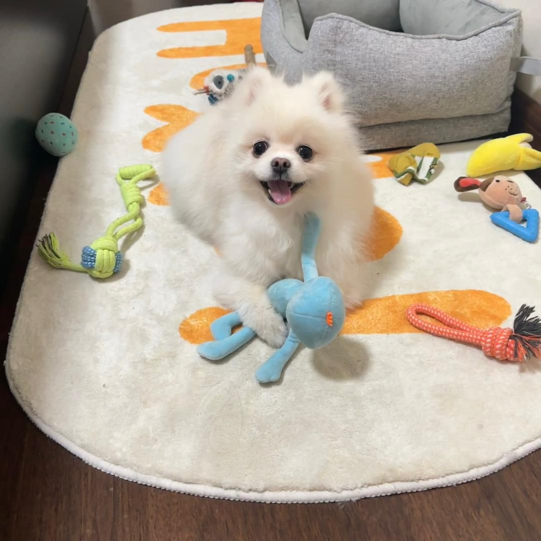 陈乐乐🍭