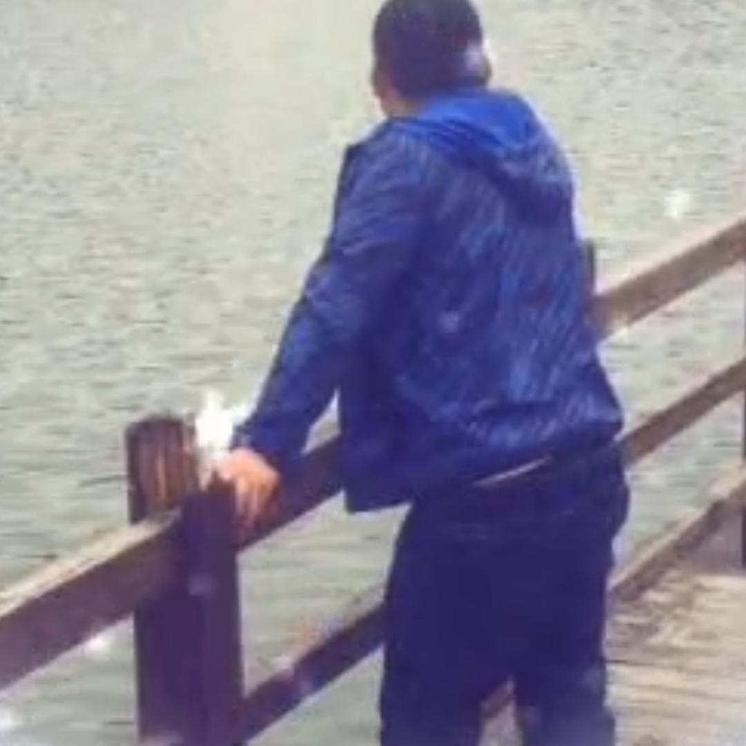 (υ . . υ) ❅·°生活没有同花顺