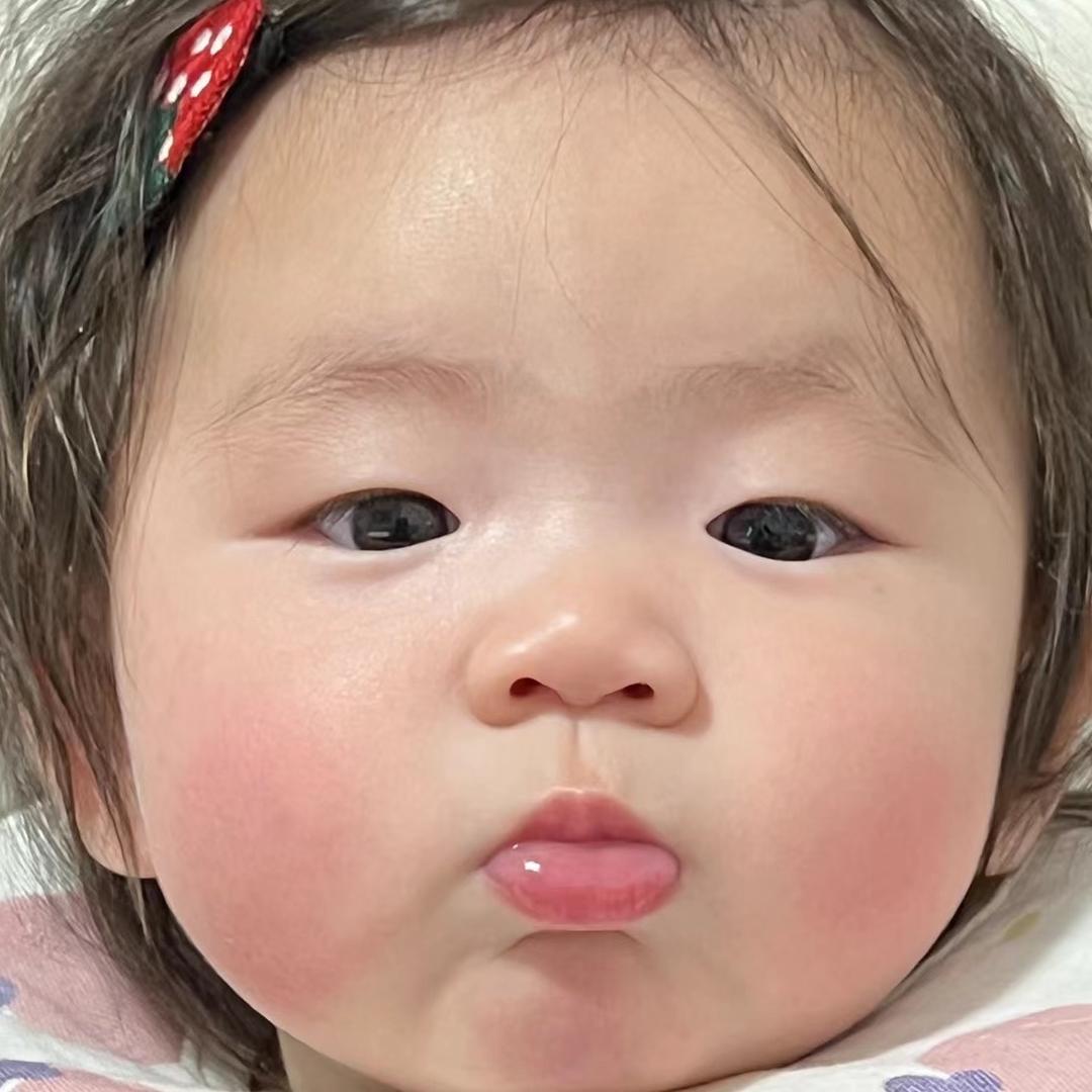小安安🐰