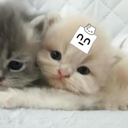 0w0